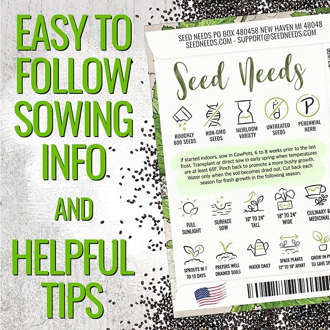 Seed Needs Catnip Seeds to Plant Heirloom Non-GMO Herbs for Cats 20 Pack