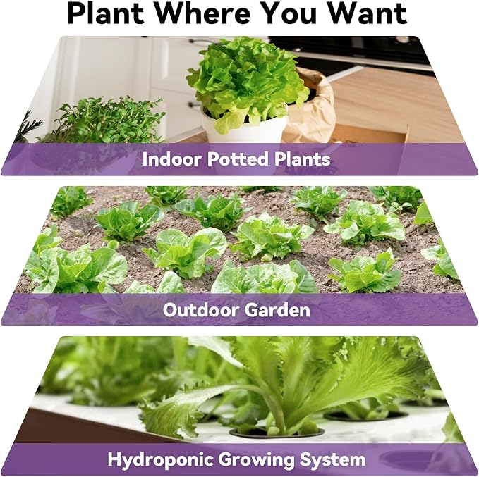 12 pods Red romaine lettuce seed Pods for AeroGarden, Ahopegarden, iDOO, MUFGA - Compatible with All Hydroponic Indoor Garden Growing system refill, 400+ Seeds