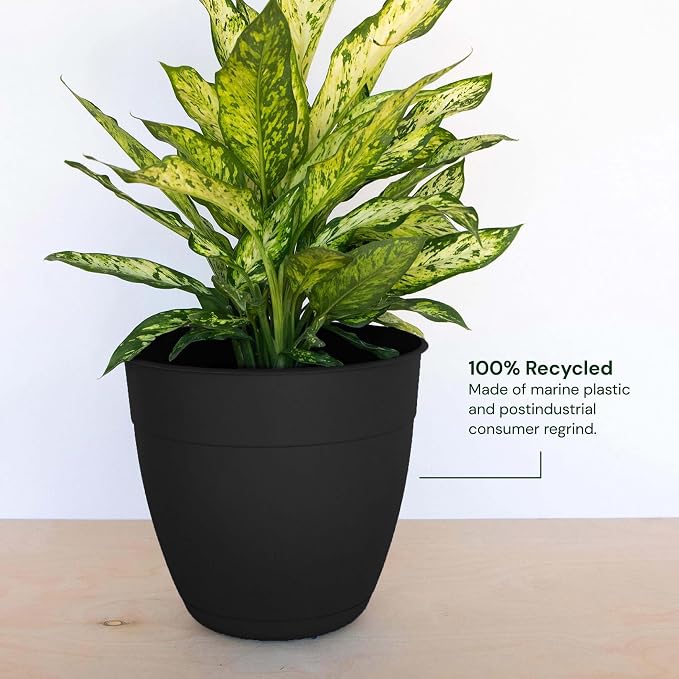 Bloem Dayton 16" Black Recyled Plastic Planter Pot with Drainage Holes and Removable Saucer for Indoor or Outdoor Gardening, Made in USA