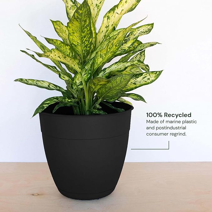 Bloem Dayton 8" Black Recyled Plastic Planter Pot with Drainage Holes and Removable Saucer for Indoor or Outdoor Gardening, Made in USA