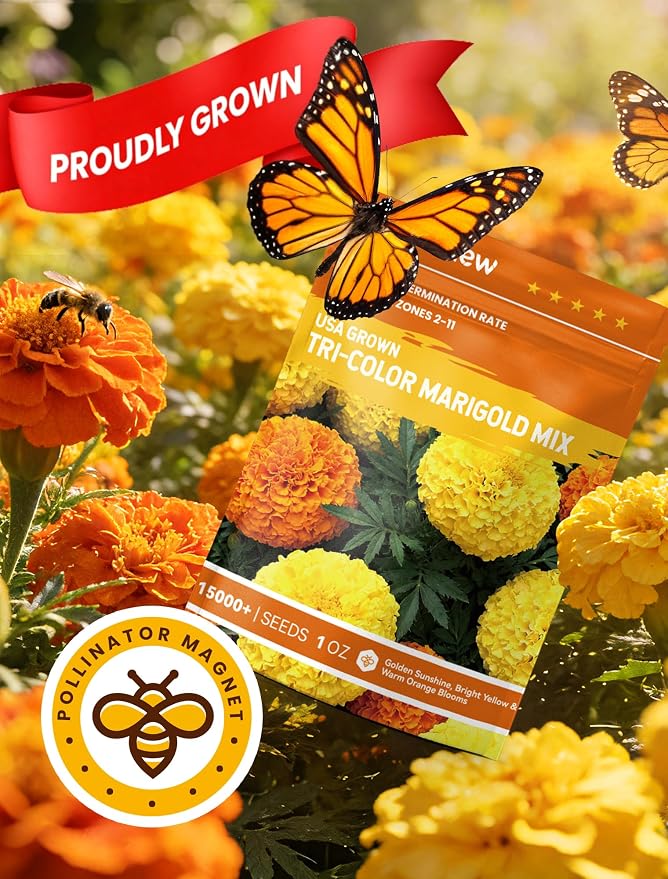 French Marigold Seeds - Heirloom Petite Tri-Color Mix - Vibrant Yellow/Orange Blooms - 15000+ Seeds for Outdoor Planting (Borders/Beds/Containers) - Quick Blooming, Companion Plant, Easy Grow
