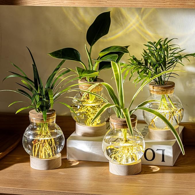 Propagation Stations, Plant Propagation Station with Light Base, Glass Propagation Vases, Hydroponic Vase for Plants, Glass Terrarium for Home Office Windowsill Tabletop Decoration (5)