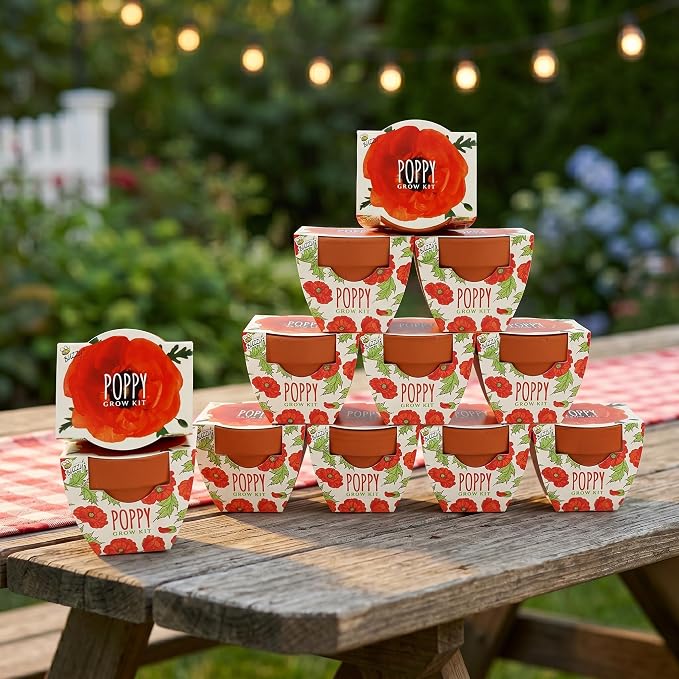 BUZZY Seeds Poppy Grow Kit 12-Pack - Mini Terracotta Pot Grow Set - Complete Indoor/Outdoor Gardening Kit with Seeds, Coconut Husk Growing Medium & Genuine Pots - 100% Grow Guarantee