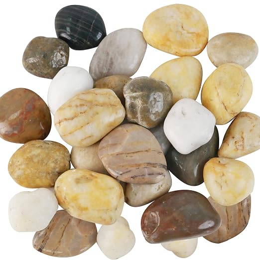 Sunnyglade 5 LBS River Rocks, 2-3 Inch Natural Pebbles for Indoor Plants, High Polished Decorative Stones Vase Filler Fish Tank Aquariums Landscaping Garden Outdoor and Indoor DIY (5, Pounds)