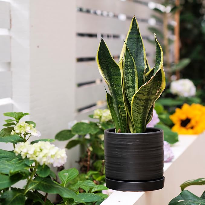 HERDUK 6 + 8 Inch Plant Pots, Ceramic Planter Pot with Drainage Hole & Saucer, Indoor/Outdoor Cylinder Round Planter Pot, Matte Black