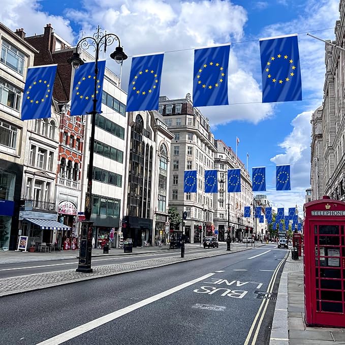 AhfuLife European Union EU Flag 3x5 Ft, Large EU Flags for Outside - Double Side with Brass Eyelets for Olympic Party Decorations, Soccer Party Decoration Bar Garden Street Decoration Indoor Outdoor