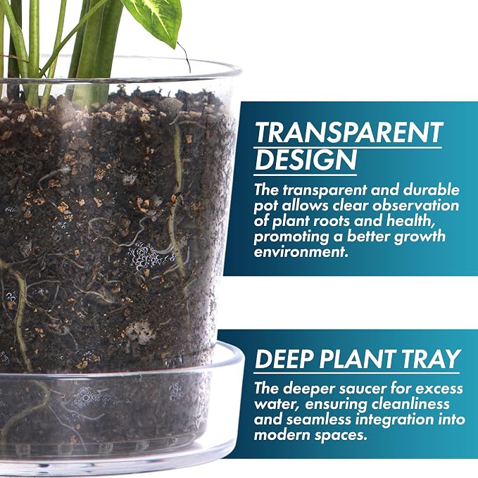 Phoenix Vine 6.5 Inch 8 Inch Clear Acrylic Houseplants Planter Pot with Tray, Orchid Pot with Drainage Holes, Deep Saucer for Bottom Watering, Transparent Containers for Indoor Plants, Herbs, 91-B-X