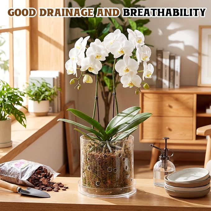 7 Inch Clear Acrylic Orchid Planter Pot with 360° Round Holes & Tray, Thick Acrylic Vented Planter for Phalaenopsis, Root Airflow, Bottom Watering & Indoor Orchid Repotting
