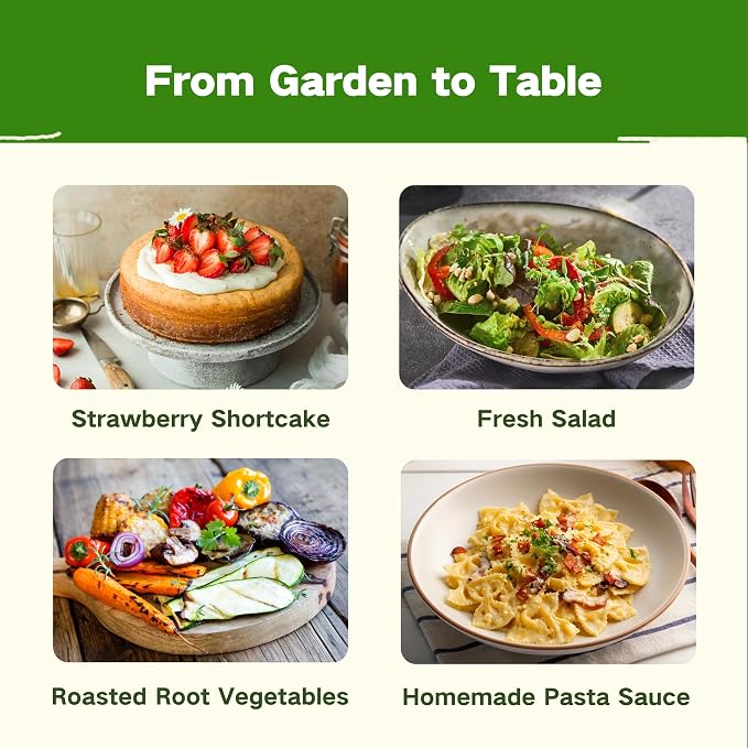 Lush&Dew Kitchen Garden Seed Bank, 32 Types Heirloom Seeds, Gardening Gifts | Non-GMO Seeds for Planting Vegetables Fruits Herbs, Gardener Gifts for Women Men, Survival Seed Kit for Food Supply Zone 3-11