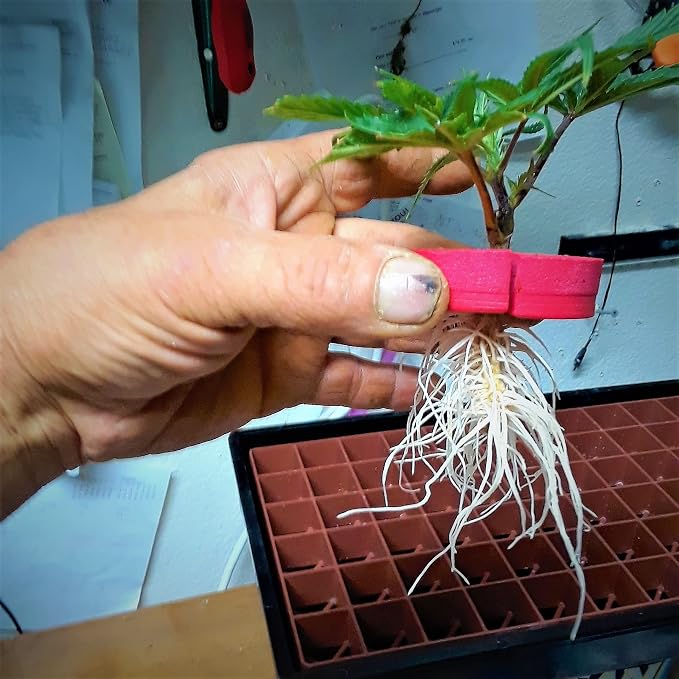 25 Site Aeroponic Cloning Machine Expect 100% Success Rates