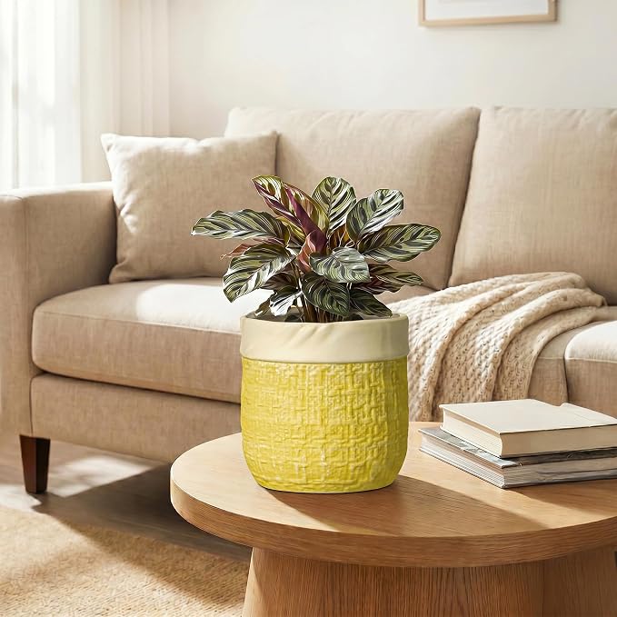 Ceramic Planter - 6 Inch Plant Pot with Drainage Hole and Plug, Round Unique Flower Pots for Indoor Plants, Boho Decorative Pot for Plants, Bookshelf Decor, Gifts for Plant Lovers, Yellow