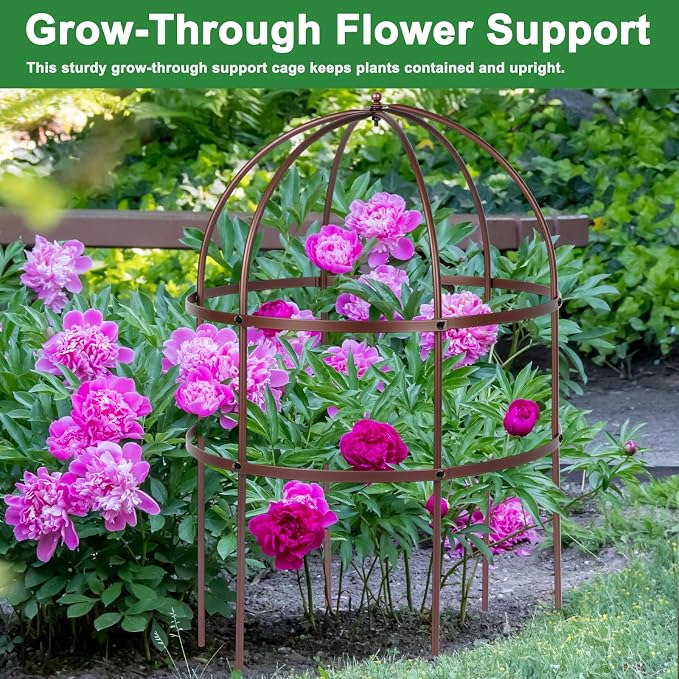 2 Pcs Jardin Bird Cage Plant Support 24" H Large Sturdy Grow-Through Flower Support Peony Cage Climbing Plant Support Trellis Sculptural Garden Decor for Perennial Flowers (Vintage Gold)
