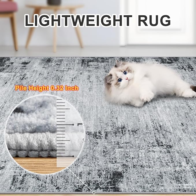 PLHXFR 8x10 Area Rug Living Room: Modern Abstract Washable Carpet Black | For Bedroom Dining Room Farmhouse Nursery Home,Machine washable,Non Slip,Large Soft Neutral,Stain Resistant, Indoor Floor