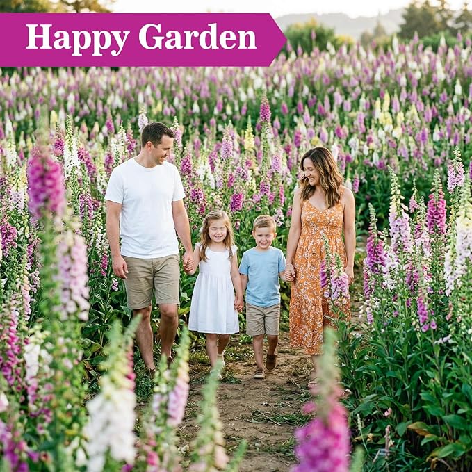 350,000+ Common Foxglove Seeds for Planting - Digitalis Purpurea Seeds, Tall Ornamental Flower Seeds for Outdoor Cottage and Pollinator Gardens