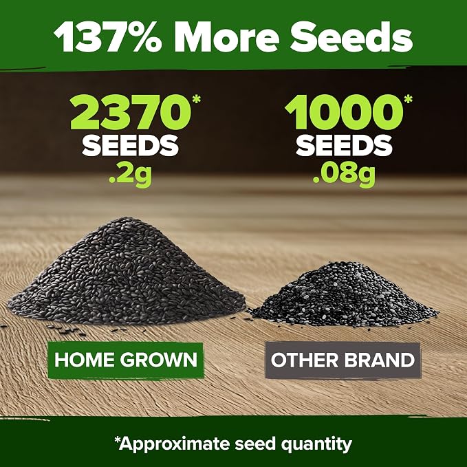 HOME GROWN Non GMO Peppermint Seeds Pack 2,370 Heirloom Mint Seeds for Planting. Grow Peppermint Plants in Your Herb Garden Indoors or Outdoors (Mentha x piperita)