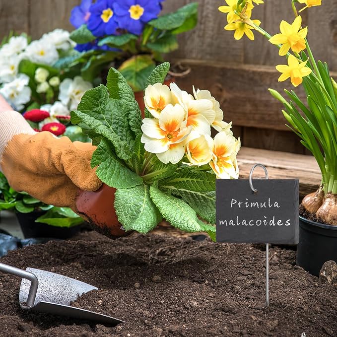 15 Pcs Slate Plant Labels with Chalk Pencils Outdoor Garden Marker Label Signs with Stakes for Plants, Vegetables, Herb, Flowers (Rectangular)