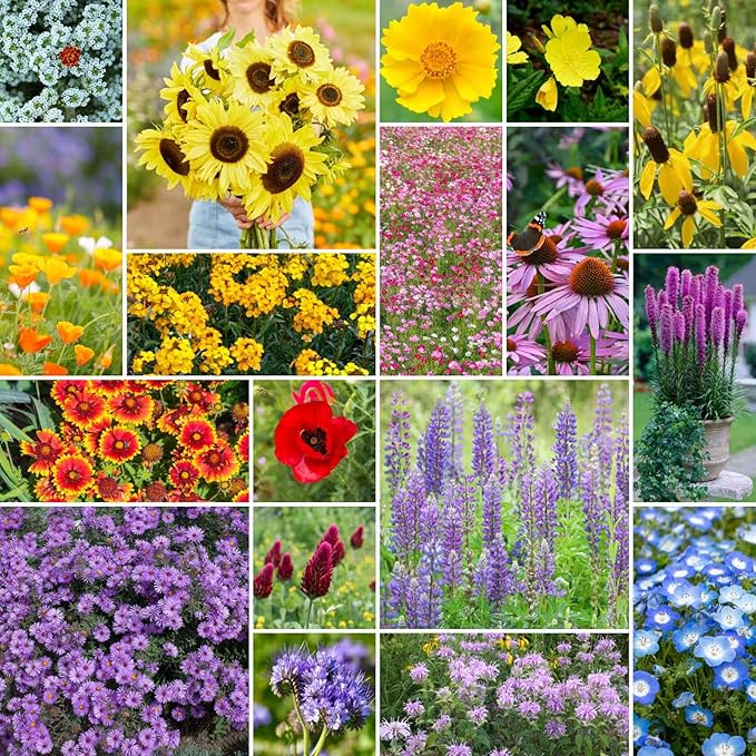 Eden Brothers The Bees Knees Pollinator Wildflower Seed Mix, 1/4 lb (135,000+ Seeds) Throw and Grow - 100% Pure, No Fillers - 18-Variety Non-GMO Annual + Perennial, Covers up to 1,100 SqFt, Zones 3-10