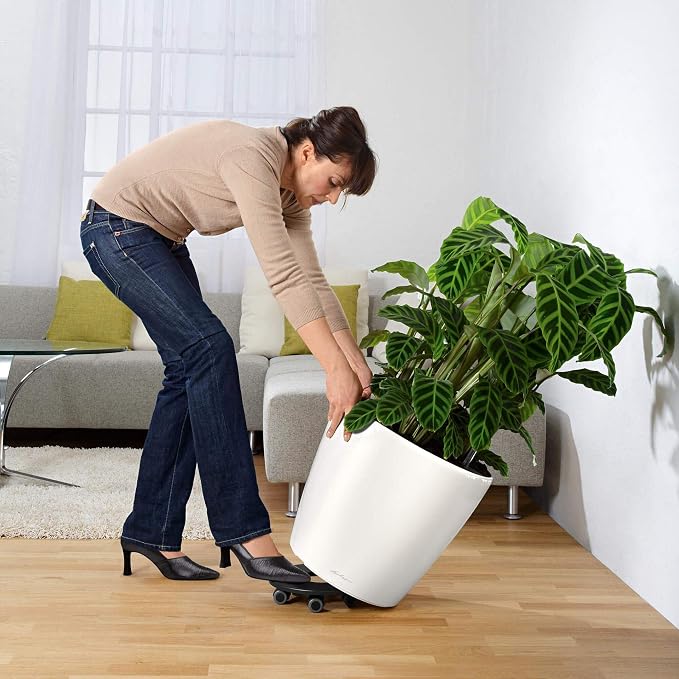 Lechuza Classico LS 43 Black High Gloss, Self-Watering Round Planter, D16.9 H15.7 in
