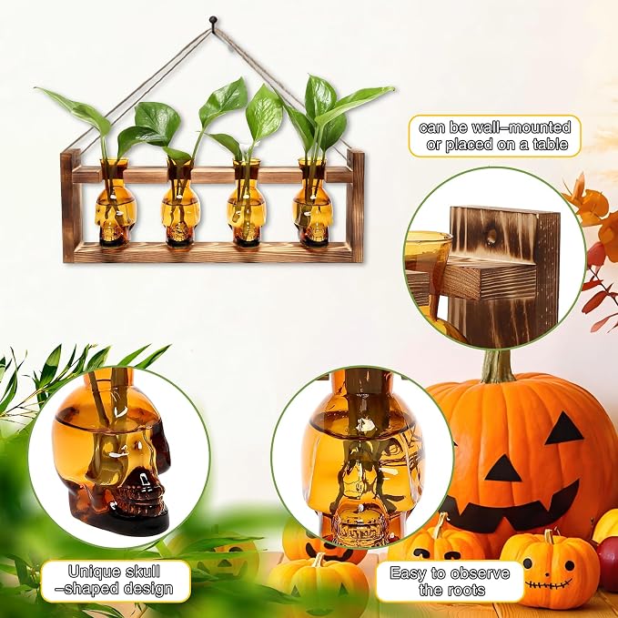 Plant Propagation Stations Halloween Skull Plant Terrarium Kit | Glass Vases Gift for Father Air Planter Home Office Decor