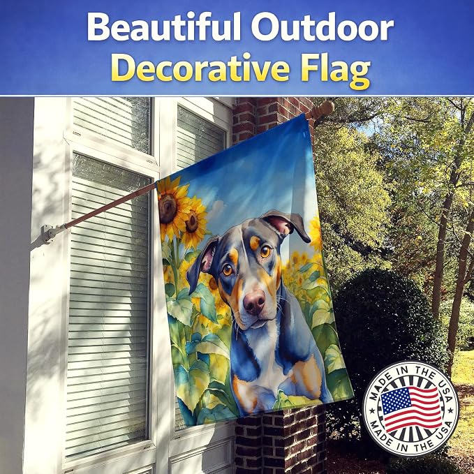 Caroline's Treasures DAC6046CHF Catahoula in Sunflowers House Flag Large Porch Sleeve Pole Decorative Outside Yard Banner Artwork Wall Hanging, Polyester, House Size, Multicolor