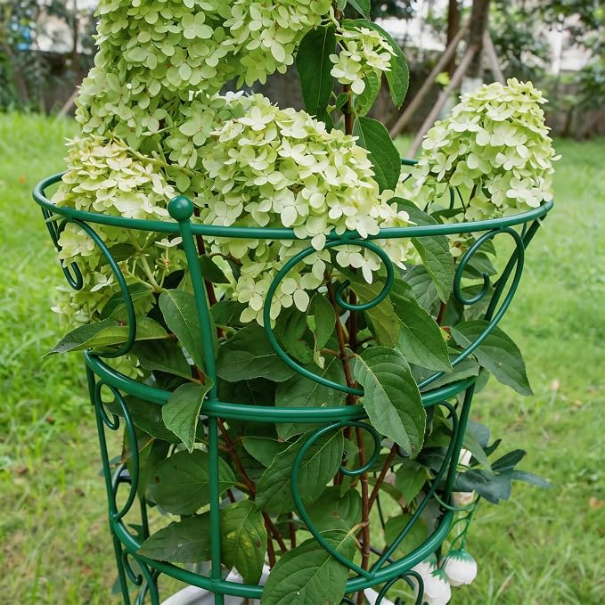 24.6" Peony Support Heavy Duty Garden Cage for Peonies, Dahlias & Hydrangeas - Durable Metal Plant Support for Outdoor Garden Flowers & Landscape Decoration | Easy Installation for Gardeners
