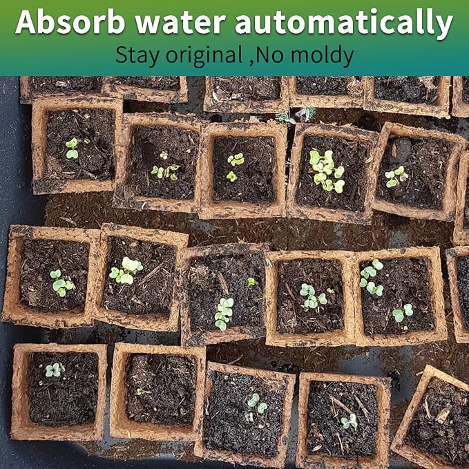 200Cells Seedling Start Trays with Drain Holes,20pcs Peat Pots Seedling Pots Biodegradable,Seedling Starter Kit,Organic Germination Plant Starter Trays(200xLabels,2xTransplant Tools,1xSpray Bottle)