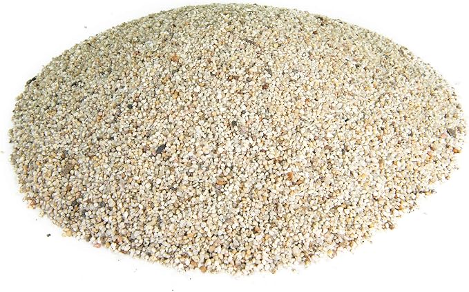 Mexican Beach Pebbles | 20 Pounds of Smooth Unpolished Stones | Hand-Picked, Premium Pebbles for Garden and Landscape Design | White Criva, 1/8 Inch