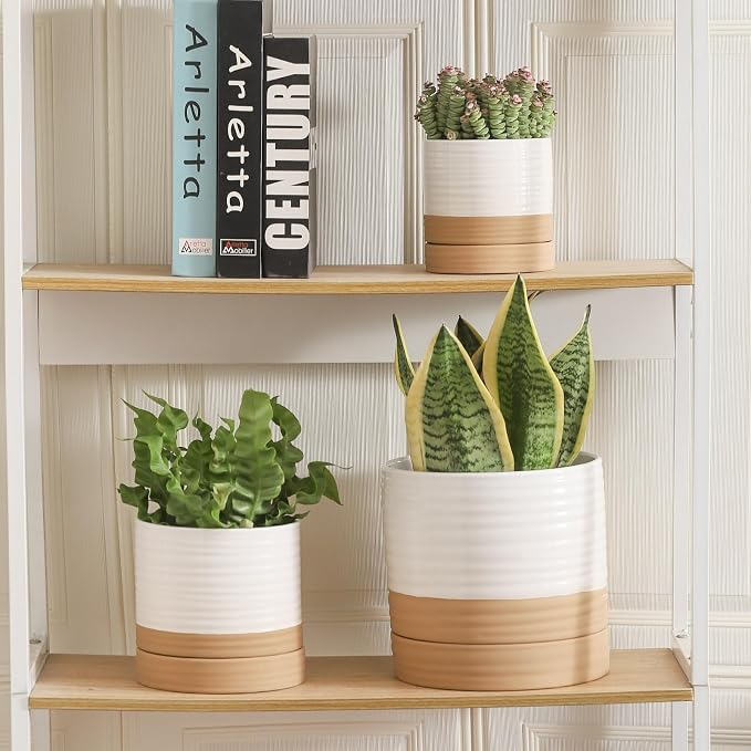HASENSE Planters for Indoor Plants, 8+6+4.6 Inch Ceramic Plant Pots Indoors with Drainage Hole and Tray, Dual Contrast Glaze Flower Planters for Herb Snake Succulent, Set of 3, White