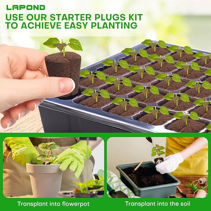 40 Pcs Grow Sponges with Tray, Plant Starter Plugs for Cuttings, Great for Soil, Tray or Planting Pods Plant Rooter, Promotes Herbs, Vegetables and Flowers Growth