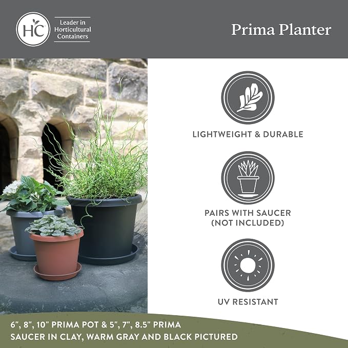 The HC Companies Prima Round Plastic Plant Pot w/Rolled Rim - Lightweight & UV Resistant Flower Pot for Herbs & More - Outdoor & Indoor Plant Pots w/Drainage (6 inch, Warm Grey, Pack of 1)
