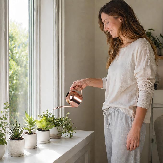IMEEA Mini Indoor Watering Can for Small Plants, Stainless Steel with Long Spout, 15oz/450ml – Perfect for Desk, Windowsill & Bonsai