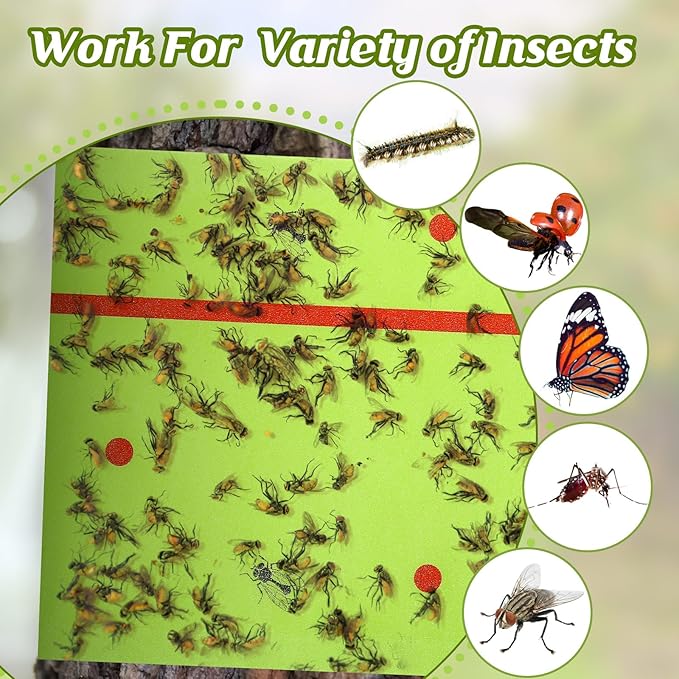 Qualirey 4 Rolls Spotted Lantern Fly Traps 30 Feet Each Roll Fly Tree Trap Sticky Strips Outdoor Fruit Glue Strips Disposable Tape Indoor Paper Sheets for Protecting Trees (Green)