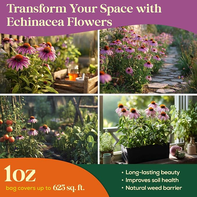 Seedphony Echinacea Seed Pack 1 oz - 9,300 Non-GMO Heirloom Echinacea Seeds for Planting, Perennial Flowers in Waterproof Seed Packet, Coneflower Seeds for Planting Garden Indoor & Outdoor Gardening