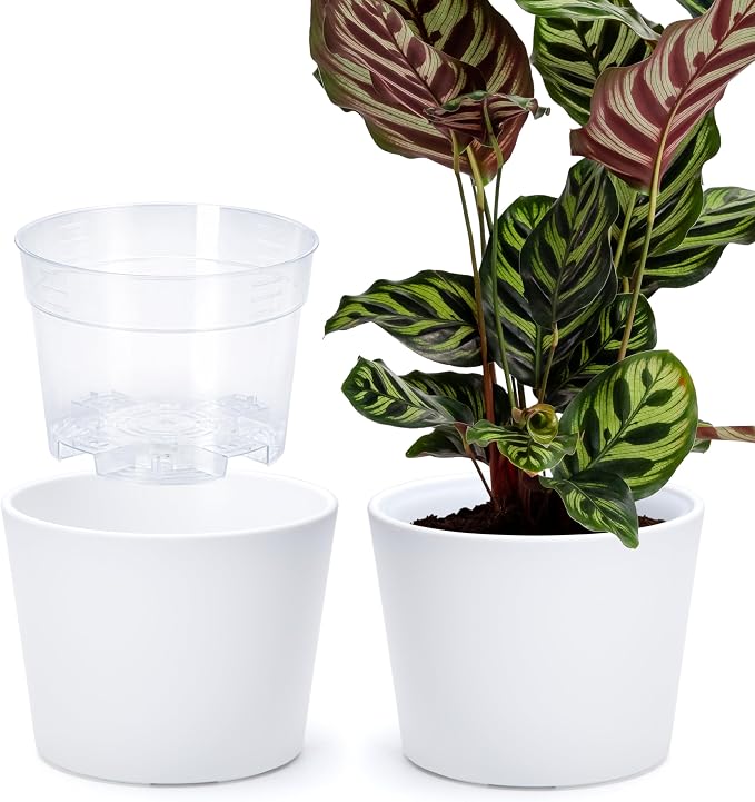 Phoenix Vine 6.6 Inch White Plastic Cachepot with Clear Nursery Pot, Decorative Lightweight Planter Cover with Transparent Inner Pot for Indoor Houseplants, Pack of 2, 24-C-D-2
