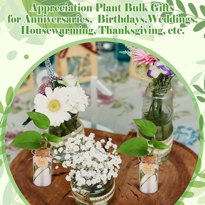 36 Packs Plant Propagation Stations with Hole Lid Clear Plastic Cultivation Bottles Tabletop Hydroponic Containers with Thank You Tags for Home Gardening Office Desktop Decoration
