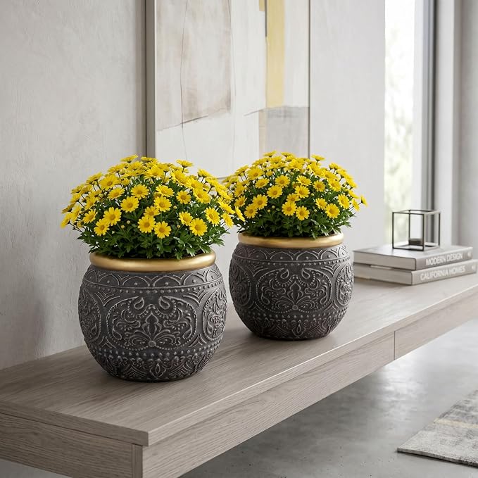 2Pcs 5.9 Inch Cement Planters, Vintage Planter with Gold Rim and Drainage Holes, Decorative Indoor Containers for Succulents, Herbs, Home & Office