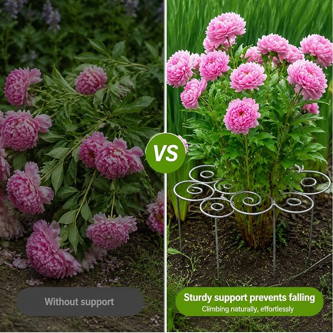 Metal Plant Support Ring for Garden, Heavy Duty Rustproof Flower Support Stakes for Top Heavy Plants, Decorative Outdoor/Indoor Grow Through Cage for Peony, Tomato, Clump-Forming Flowers (Small)
