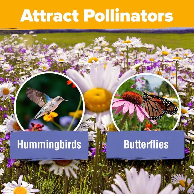 HOME GROWN USA Wildflower Seeds Bulk Mix | 44,000 Non-GMO Perennial Flower Seed for Full Sun & Shade | 19 Varieties for Butterfly & Pollinator Garden | 2 oz