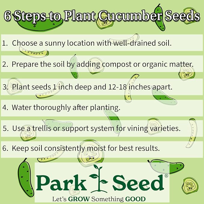 Park Seed Variety of Cucumber Seeds, Planting Cucumbers, Vegetable Seeds, Easy to Grow, Non-GMO, Perfect for Harvesting, Diva, Pack of 30