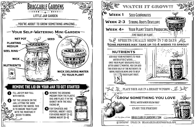 Micro Tomato Mason Jar Garden Kit (3 Pack) – Red Robin, Orange Hat & Gourmandise – Indoor Hydroponic Windowsill Tomato Grow Kit – Complete Jar Garden Starter Set