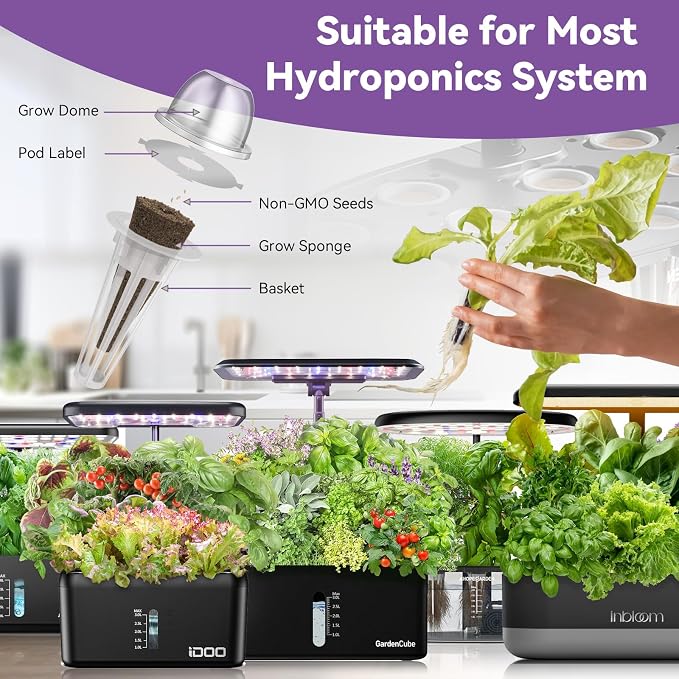 inbloom Salad Romaine Lettuce Seed Pod Kit for AeroGarden, Ahopegarden Hydroponics Growing System, 7-Pods (350+ Seeds, Include American Fast, Parris Island, Buttercrunch, Red Romaine Lettuce)