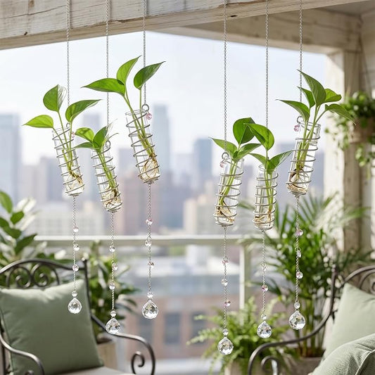 6Pcs Hanging Plant Propagation Station with Crystal Ball Prisms Suncatcher | Window Hanging Propagation Station and Cleaning Brush, Glass Plant Suncatcher for Indoor Wall Gifts for Plants Lovers(Silver)