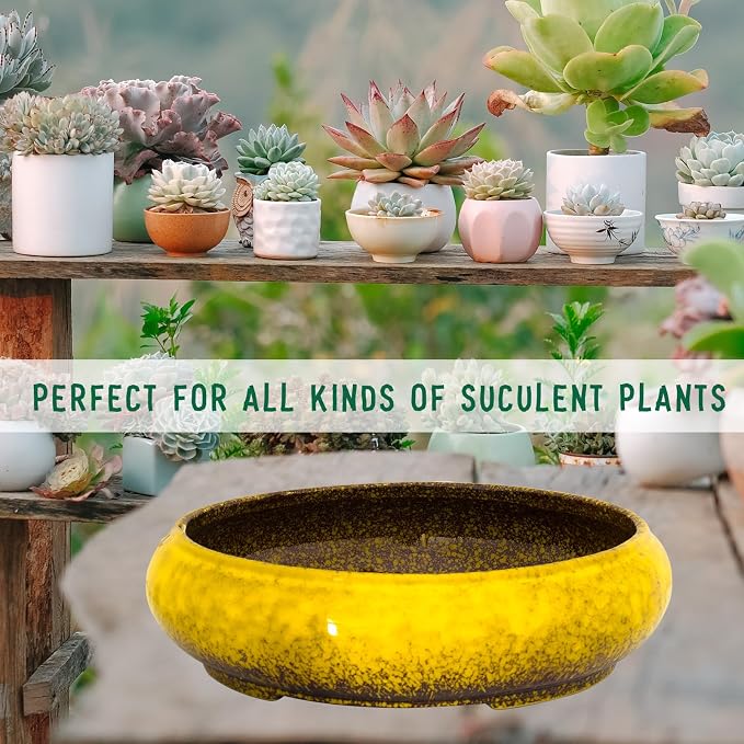 Succulent Pots - 11.5 Inch Ceramic Bonsai Pots with Drainage, Large Shallow Succulent Planters for Indoor Outdoor Plants, Round Glazed Cactus Flower Plant Container Bowl Home Desk Decor(Yellow)
