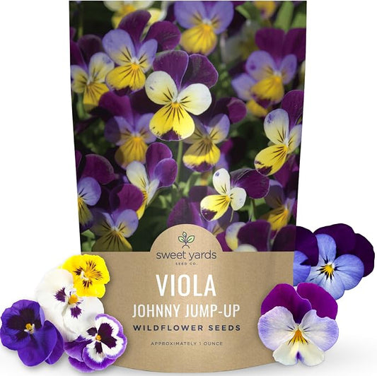 Viola - Johnny Jump-Up - Bulk 1 Ounce Pouch - 40,000 Flower Seeds for Planting - Viola Tricolor