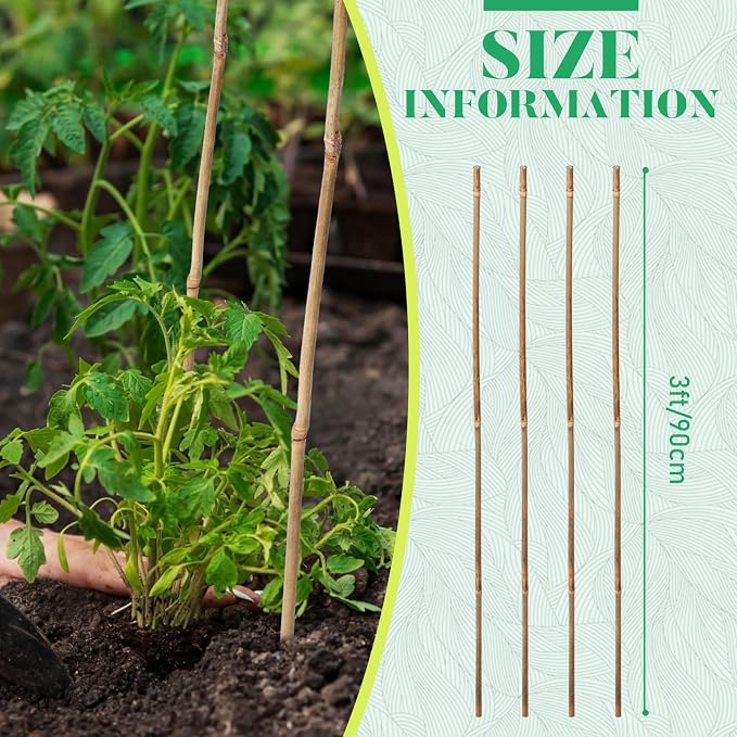 Suclain 100 Pcs Bamboo Plant Stakes Natural Garden Support Sticks for Climbing Plants Sturdy Bamboo Garden Stakes for Tomato, Beans, Flowers and Potted Plants, Vegetables, Indoor & Outdoor (3 ft)
