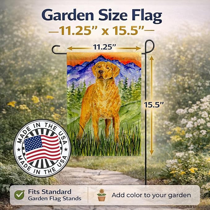 Caroline's Treasures SS8449GF Chesapeake Bay Retriever Garden Flag Mailbox Flag Decorative Yard Flag Banner Outside Patio Artwork Yard Flower Beds, Garden Size, Multicolor