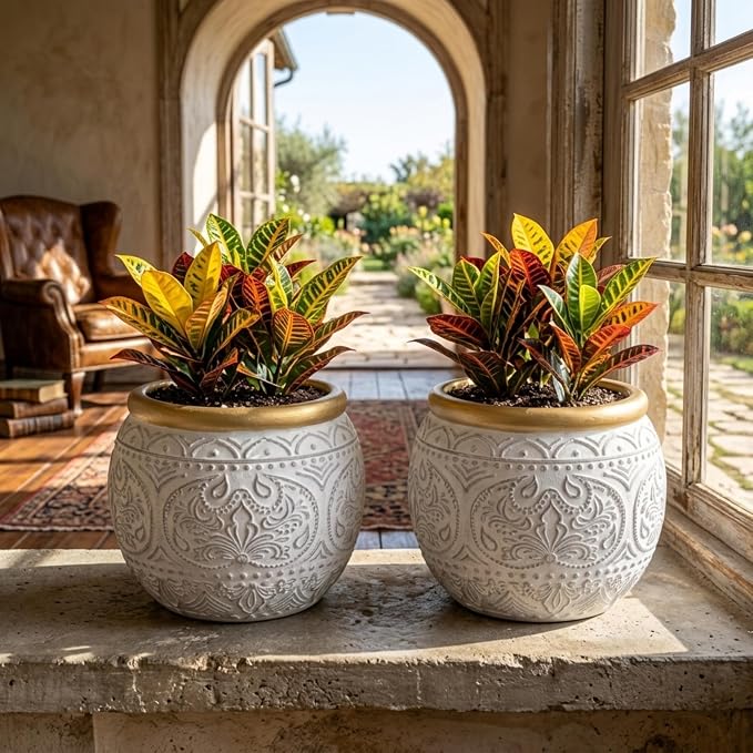 2Pcs 5.9 Inch Cement Planters, Vintage Planter with Gold Rim and Drainage Holes, Decorative Indoor Containers for Succulents, Herbs, Home & Office