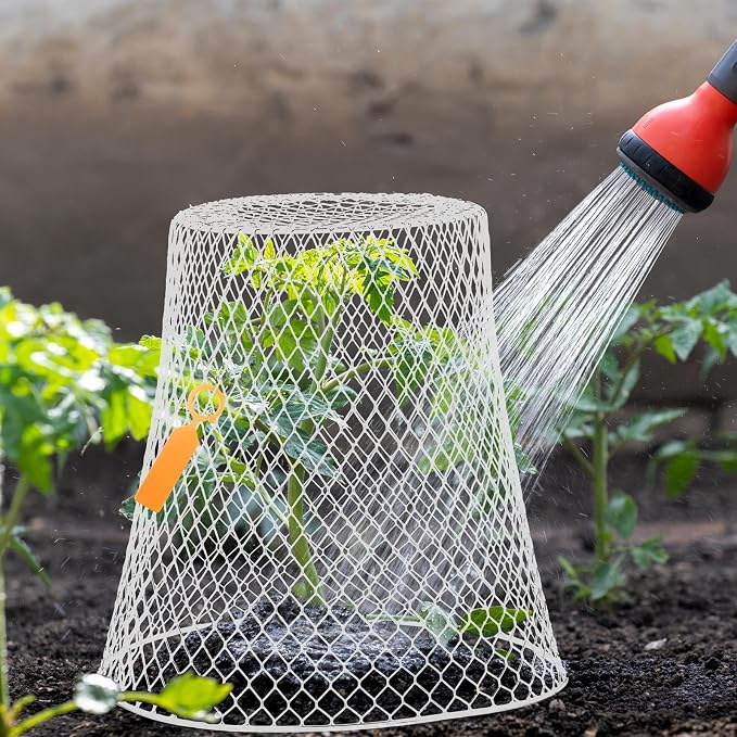 Geosar 30 Pcs 9 Inch Chicken Wire Cloche Plant Protector Cover Metal Garden Cloche Netting Protection Cages Vegetables Flowers with Garden Stakes Avoiding Chicken Rabbit Squirrels Birds (White)