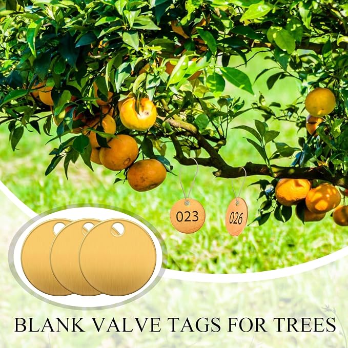 Hicarer 500 Pcs Solid Tags for Stamping Round Key Tags Blanks with Hole for Pets Plants Doors Pipe Valves Equipment Tool and Keys Labeling (Brass,1.25 Inch)