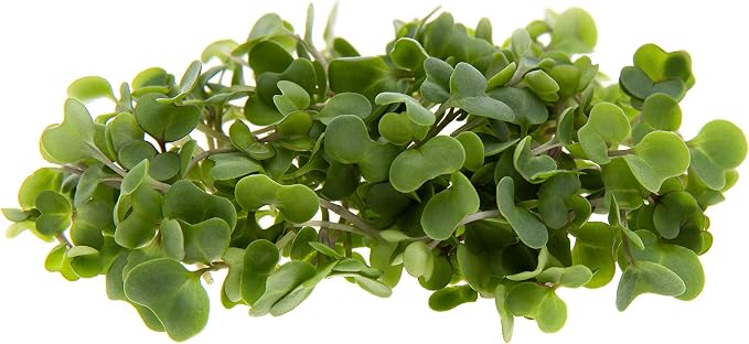 Sulforaphane MICROGREEN Seed Mix | Perfect for Microgreen Growing Trays | Kale, Cabbage, Turnip & Broccoli Sprouting Seeds | Non GMO Heirloom Seeds | 1 LB Resealable Bag | Rainbow Heirloom Seed Co.